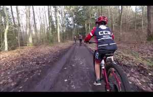 derniere sortie de l année