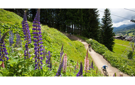 Randonnée VTT Portes du Soleil...